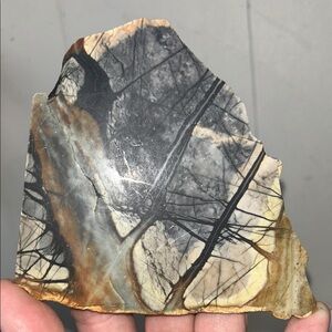 Unique Picture Jasper Slab with Natural Patterns